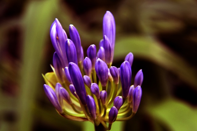 袁心玥因伤退出全运会，重回故乡并引发关注，其拦网和进攻能力被认可，但伤病困扰，中国女排需她保障进攻。