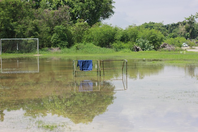 的球技和冷 的球技和冷