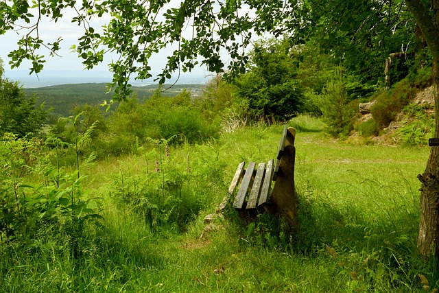 心理战与技 心理战与技