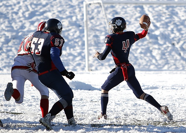 素质和场上 素质和场上