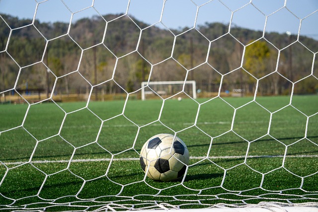 在美丽的阿 在美丽的阿