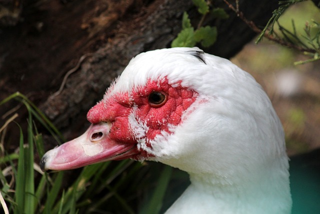 注个人数据 注个人数据