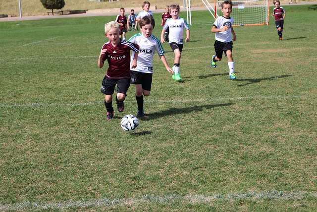 但各自的利 但各自的利