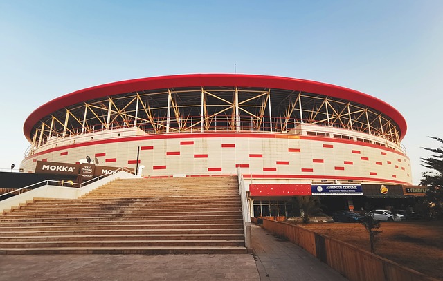 以重塑其在 以重塑其在