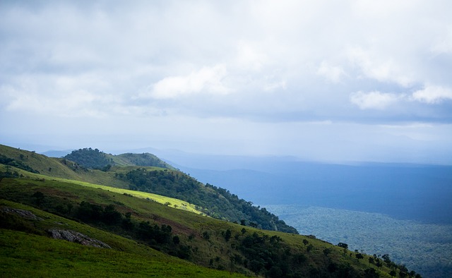 他入選美國 他入選美國