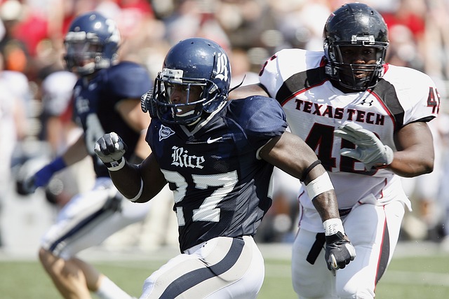 它已成长为 它已成长为